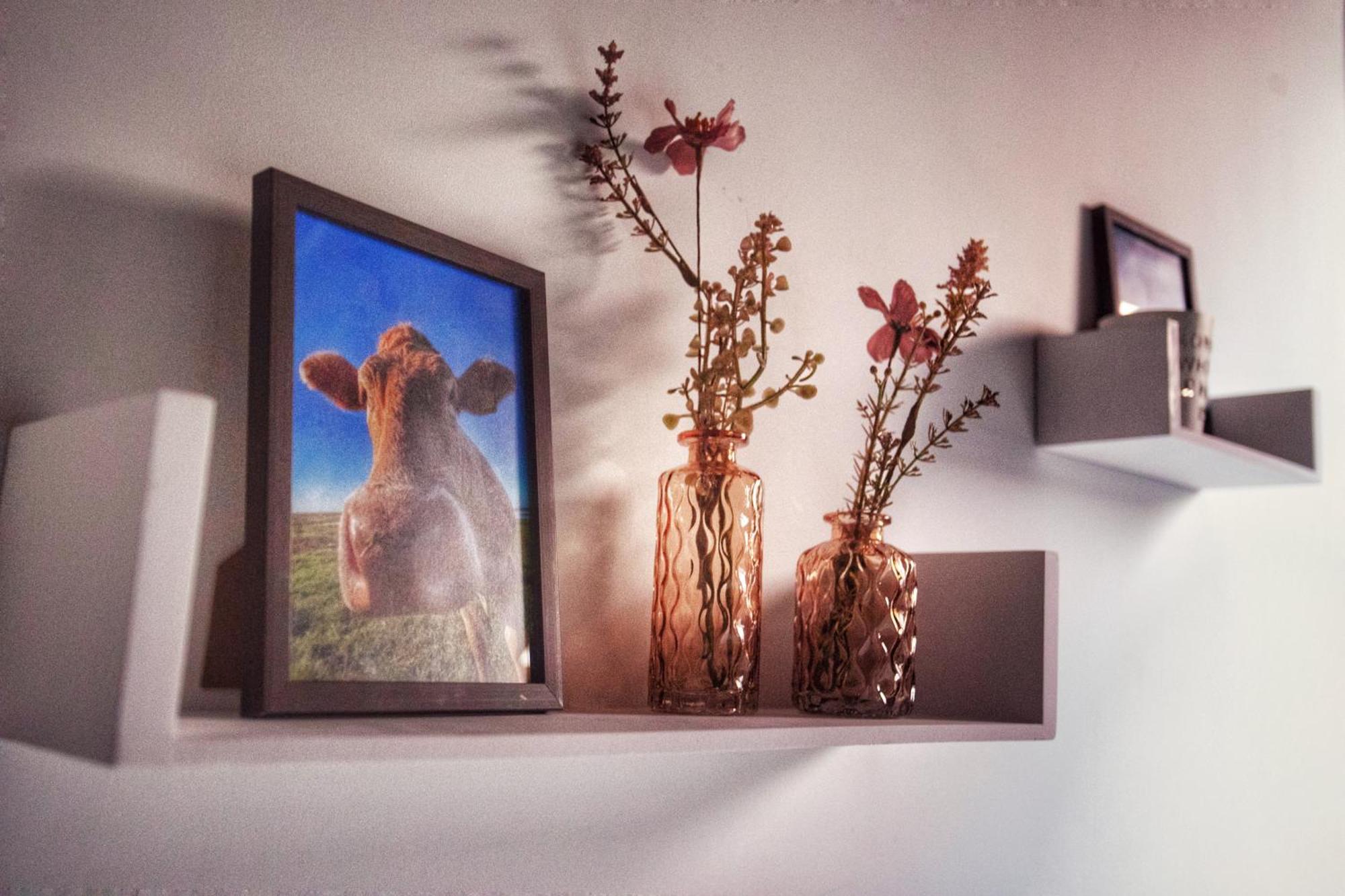 Huize Adriana Guest House Wolphaartsdijk ภายนอก รูปภาพ